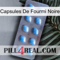 Black Ant Capsules viagra3